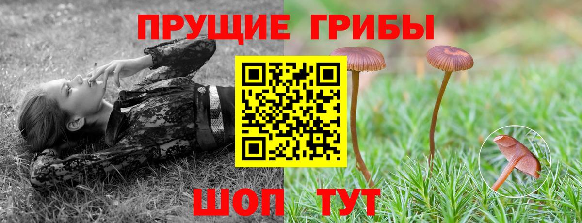 Псилоцибиновые грибы Magic Shrooms Сунжа